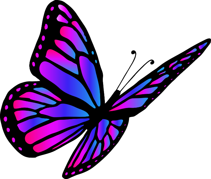 kuvlknlk butterfly decor